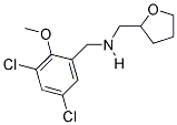 1-(3,5-DICHLORO-2-METHOXYPHENYL)-N-(TETRAHYDROFURAN-2-YLMETHYL)METHANAMINE Struktur