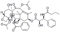 TAXCULTINE Struktur