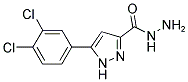 5-(3,4-DICHLORO-PHENYL)-1 H-PYRAZOLE-3-CARBOXYLIC ACID HYDRAZIDE Struktur