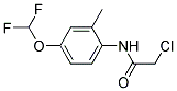 2-CHLORO-N-(4-DIFLUOROMETHOXY-2-METHYL-PHENYL)-ACETAMIDE Struktur