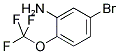 3-AMINO-4-(TRIFLUOROMETHOXY)BROMOBENZENE Struktur