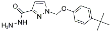 1-(4-TERT-BUTYL-PHENOXYMETHYL)-1 H-PYRAZOLE-3-CARBOXYLIC ACID HYDRAZIDE Struktur