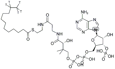 LAUROYL COENZYME A, [LAUROYL 11,12-3H] Struktur