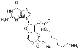 2'-(6-AMINOHEXYLCARBAMOYL)GUANOSINE-3',5'-CYCLIC MONOPHOSPHATE SODIUM SALT Struktur