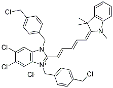 BACLIGHT(TM) RED BACTERIAL STAIN Struktur