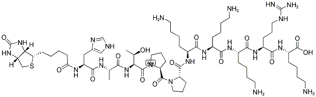 BIOTIN-HATPPKKKRK Struktur