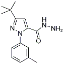 3-TERT-BUTYL-1-(3-METHYLPHENYL)-1H-PYRAZOLE-5-CARBOHYDRAZIDE Struktur