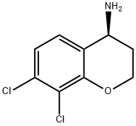 (S)-7,8-DICHLORO-CHROMAN-4-YLAMINE Struktur