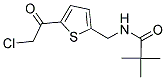 N-[[5-(CHLOROACETYL)THIEN-2-YL]METHYL]-2,2-DIMETHYLPROPANAMIDE Struktur