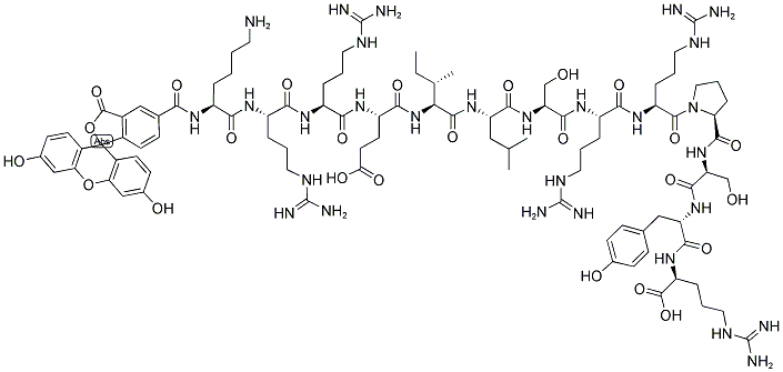 5-FAM-KRREILSRRPSYR Struktur