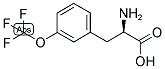 (R)-2-AMINO-3-(3-TRIFLUOROMETHOXY-PHENYL)-PROPIONIC ACID Struktur