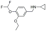 N-[4-(DIFLUOROMETHOXY)-3-ETHOXYBENZYL]CYCLOPROPANAMINE Struktur