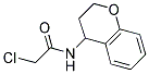 2-CHLORO-N-3,4-DIHYDRO-2H-CHROMEN-4-YLACETAMIDE Struktur