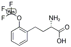 (S)-2-AMINO-4-(2-TRIFLUOROMETHOXY-PHENYL)-BUTYRIC ACID Struktur