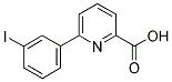 6-(3-IODOPHENYL)PYRIDINE-2-CARBOXYLIC ACID Struktur