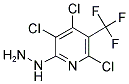 2,4,5-TRICHLORO-6-HYDRAZINO-3-(TRIFLUOROMETHYL)PYRIDINE Struktur