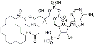 HEPTADECANOYL COENZYME A [HEPTADECANOYL 1-14C] Struktur