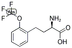 (R)-2-AMINO-4-(2-TRIFLUOROMETHOXY-PHENYL)-BUTYRIC ACID Struktur