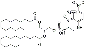 1,2-DIMYRISTOYL-SN-GLYCERO-3-PHOSPHOETHANOLAMINE, 7-NITROBENZOFURAZAN-LABELED Struktur