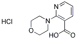 2-MORPHOLIN-4-YLNICOTINIC ACID HYDROCHLORIDE Struktur