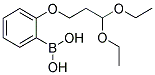 2-(3,3-DIETHOXYPROPOXY)PHENYLBORONIC ACID Struktur