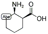 (1S,2R)-CIS-2-AMINO-1-CYCLOHEXANE-CARBOXYLIC ACID Struktur