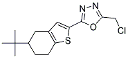 2-(5-TERT-BUTYL-4,5,6,7-TETRAHYDRO-1-BENZOTHIEN-2-YL)-5-(CHLOROMETHYL)-1,3,4-OXADIAZOLE Struktur