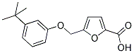 5-[(3-TERT-BUTYLPHENOXY)METHYL]-2-FUROIC ACID Struktur