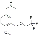 (4-METHOXY-3-[(2,2,2-TRIFLUOROETHOXY)METHYL]BENZYL)METHYLAMINE Struktur