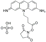 ATTO 465-NHS ESTER Struktur