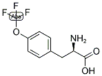 (R)-2-AMINO-3-(4-TRIFLUOROMETHOXY-PHENYL)-PROPIONIC ACID Struktur