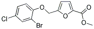 METHYL 5-[(2-BROMO-4-CHLOROPHENOXY)METHYL]-2-FUROATE Struktur