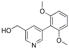 [5-(2,6-DIMETHOXYPHENYL)PYRIDIN-3-YL]METHANOL