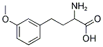 2-AMINO-4-(3-METHOXY-PHENYL)-BUTYRIC ACID Struktur