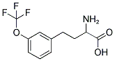 2-AMINO-4-(3-TRIFLUOROMETHOXY-PHENYL)-BUTYRIC ACID Struktur