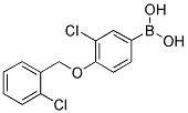 3-CHLORO-4-(2'-CHLOROBENZYLOXY)PHENYLBORONIC ACID Struktur