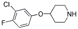 4-(3-CHLORO-4-FLUOROPHENOXY)PIPERIDINE Struktur