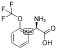 (R)-AMINO-(2-TRIFLUOROMETHOXY-PHENYL)-ACETIC ACID Struktur