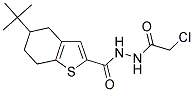 5-TERT-BUTYL-N'-(CHLOROACETYL)-4,5,6,7-TETRAHYDRO-1-BENZOTHIOPHENE-2-CARBOHYDRAZIDE Struktur