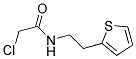 2-CHLORO-N-(2-THIEN-2-YLETHYL)ACETAMIDE Struktur