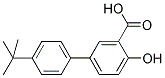 4'-TERT-BUTYL-4-HYDROXY[1,1'-BIPHENYL]-3-CARBOXYLIC ACID Struktur