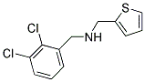 N-(2,3-DICHLOROBENZYL)-N-(THIEN-2-YLMETHYL)AMINE Struktur