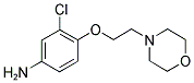 3-CHLORO-4-[2-(4-MORPHOLINYL)ETHOXY]PHENYLAMINE Struktur