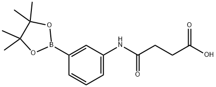 3-SUCCINAMIDOPHENYLBORONIC ACID, PINACOL ESTER Struktur