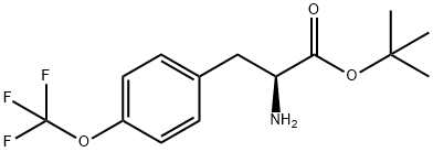 (S)-4-(TRIFLUOROMETHOXYL)PHENYLALANINE T-BUTYL ESTER Struktur