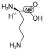 D-ORNITHINE Struktur