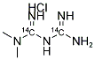 1,1-DIMETHYLIGUANIDE HYDROCHLORIDE 14C Struktur