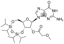 2'-(2-METHOXY-ACETYL)-3',5'-(TETRAISOPROPYL-DISILOXANE-1,3-DIYL)-GUANOSINE Struktur