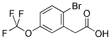 2-BROMO-5-(TRIFLUOROMETHOXY)PHENYLACETIC ACID Struktur