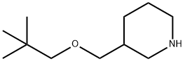 3-[(NEOPENTYLOXY)METHYL]PIPERIDINE Struktur